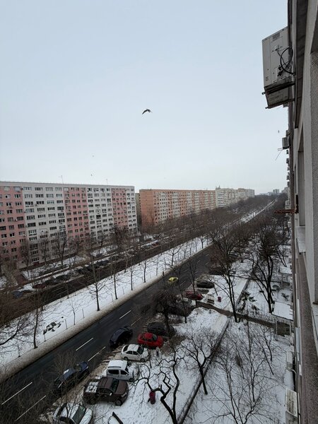 Nicolae Grigorescu metrou,